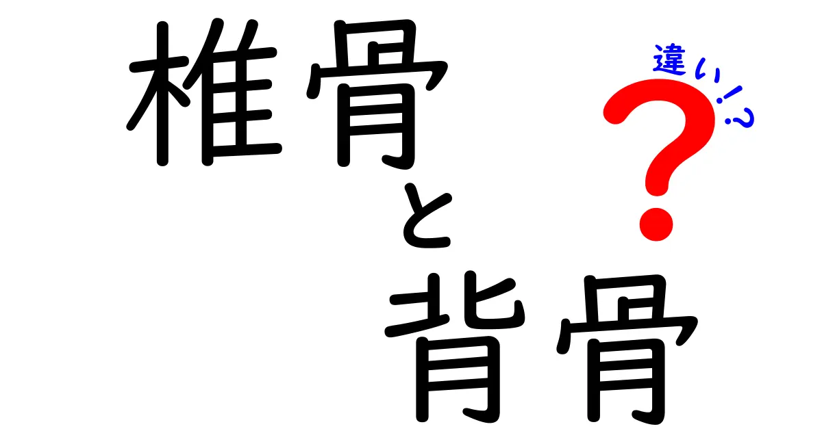 椎骨と背骨の違いを徹底解説!中学生にもわかる図解つきガイド