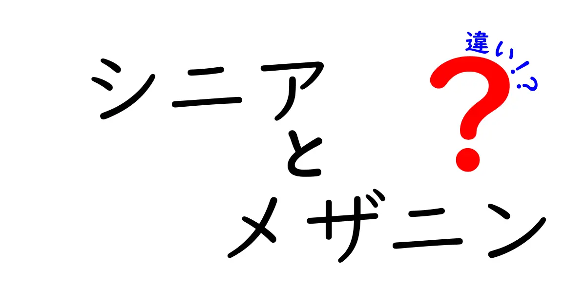 シニアとメザニンの違いを徹底解説｜資金調達の基本をやさしく学ぶ