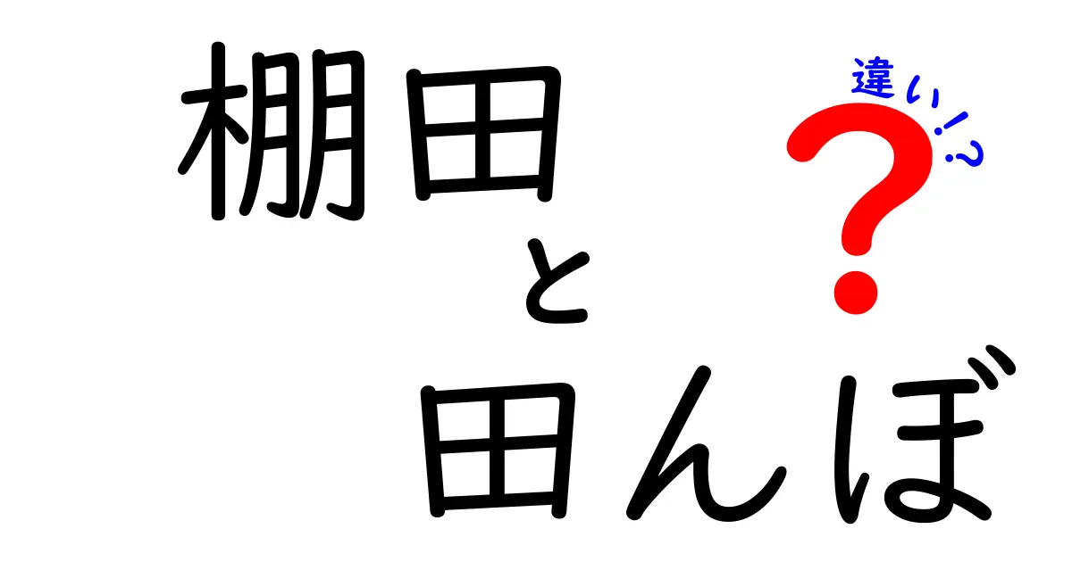 棚田と田んぼの違いを徹底解説｜写真で見る棚田と田んぼの違いと魅力
