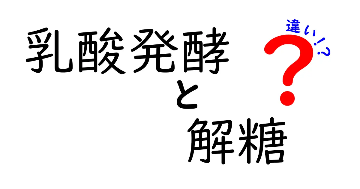 乳酸発酵と解糖の違いを徹底解説!中学生にもわかる図解つきの基礎講座