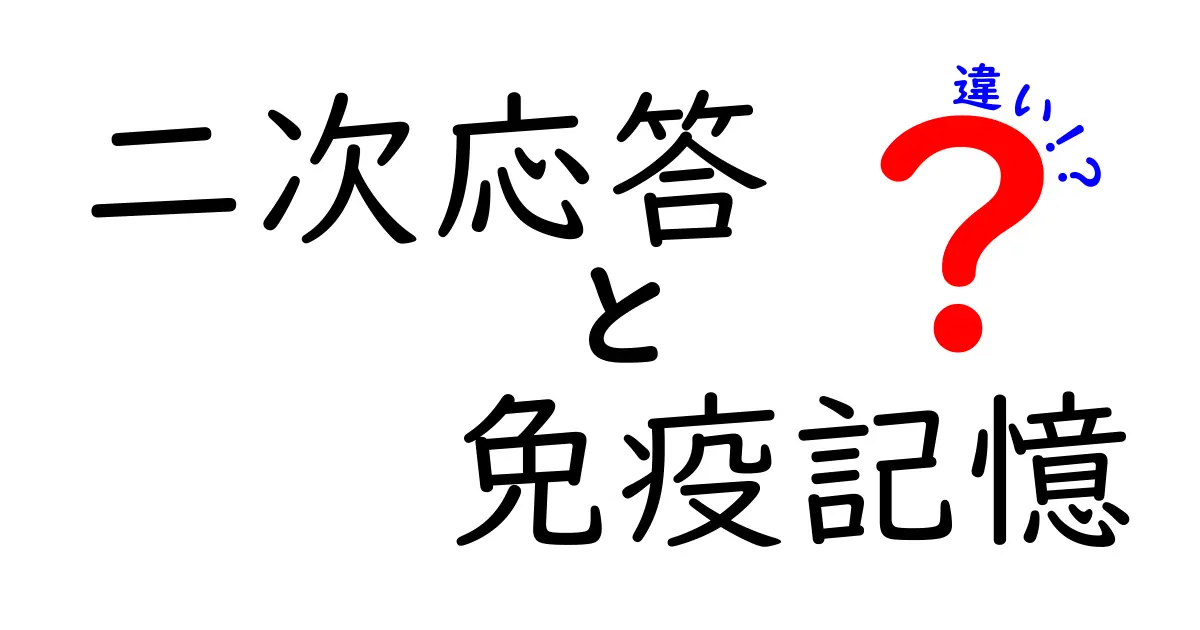 二次応答と免疫記憶の違いをやさしく解説。中学生にもわかる免疫のしくみ