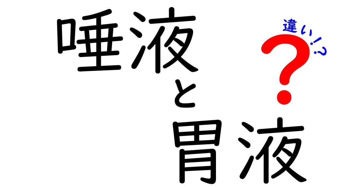 唾液と胃液の違いを徹底解説！中学生にも分かる理由としくみ