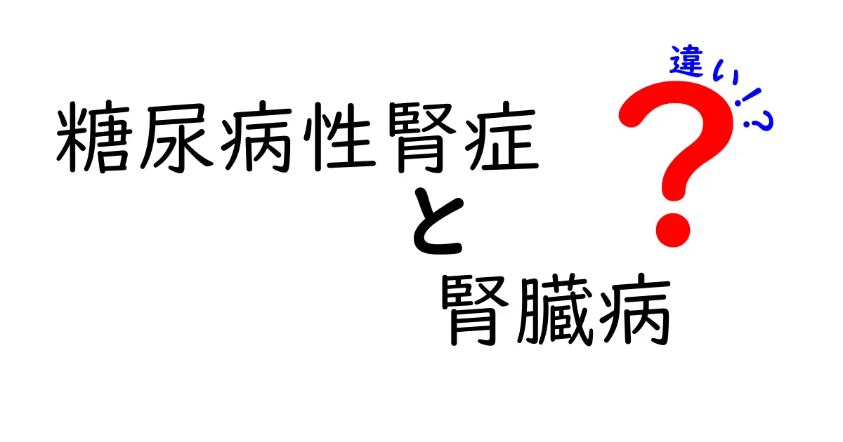 糖尿病性腎症と腎臓病の違いを徹底解説：自分の腎臓を守るための基礎知識