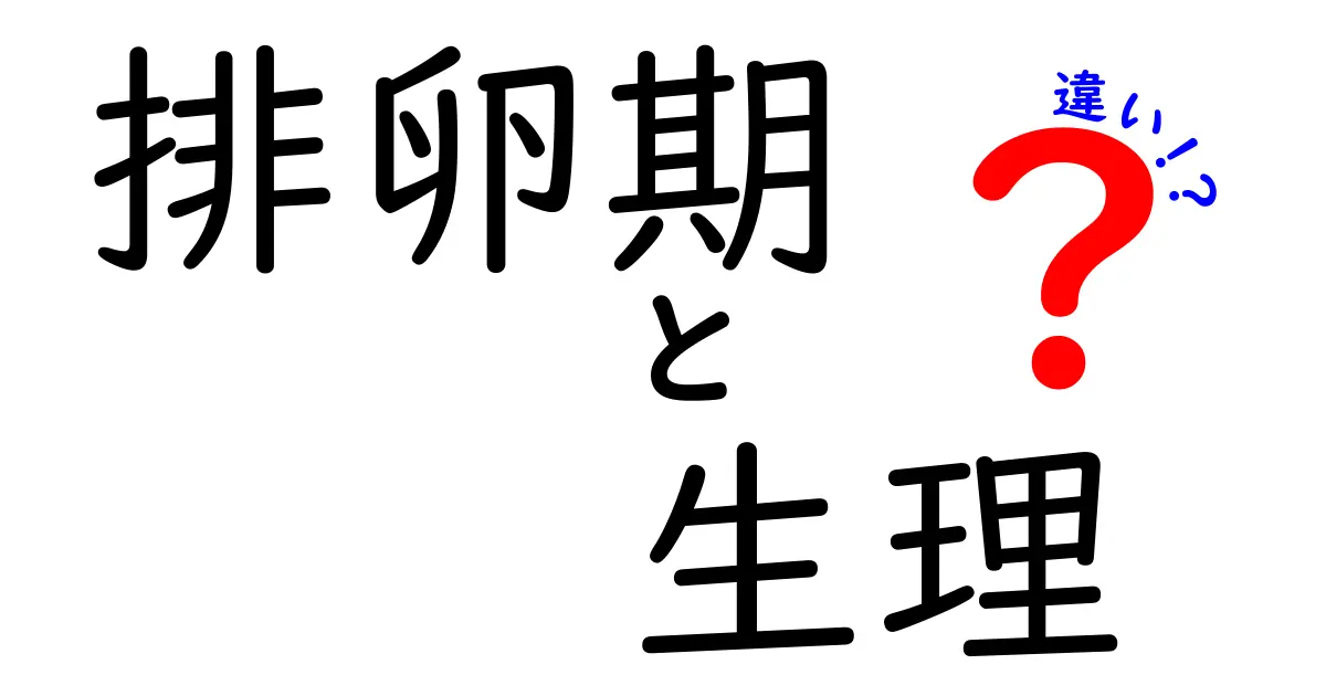 排卵期と生理の違いをやさしく解説!知っておくべき基本ポイント