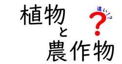 植物と農作物の違いを徹底解説!中学生にもわかる基礎から学ぼう