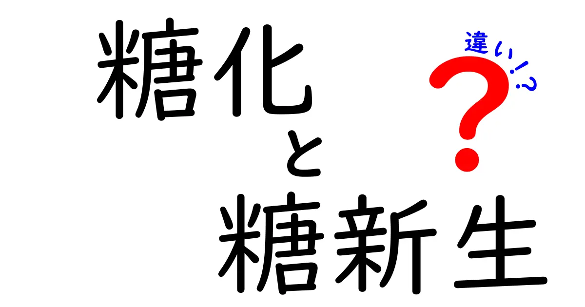 糖化と糖新生の違いを徹底解説:日常生活と体内でどう影響するのか