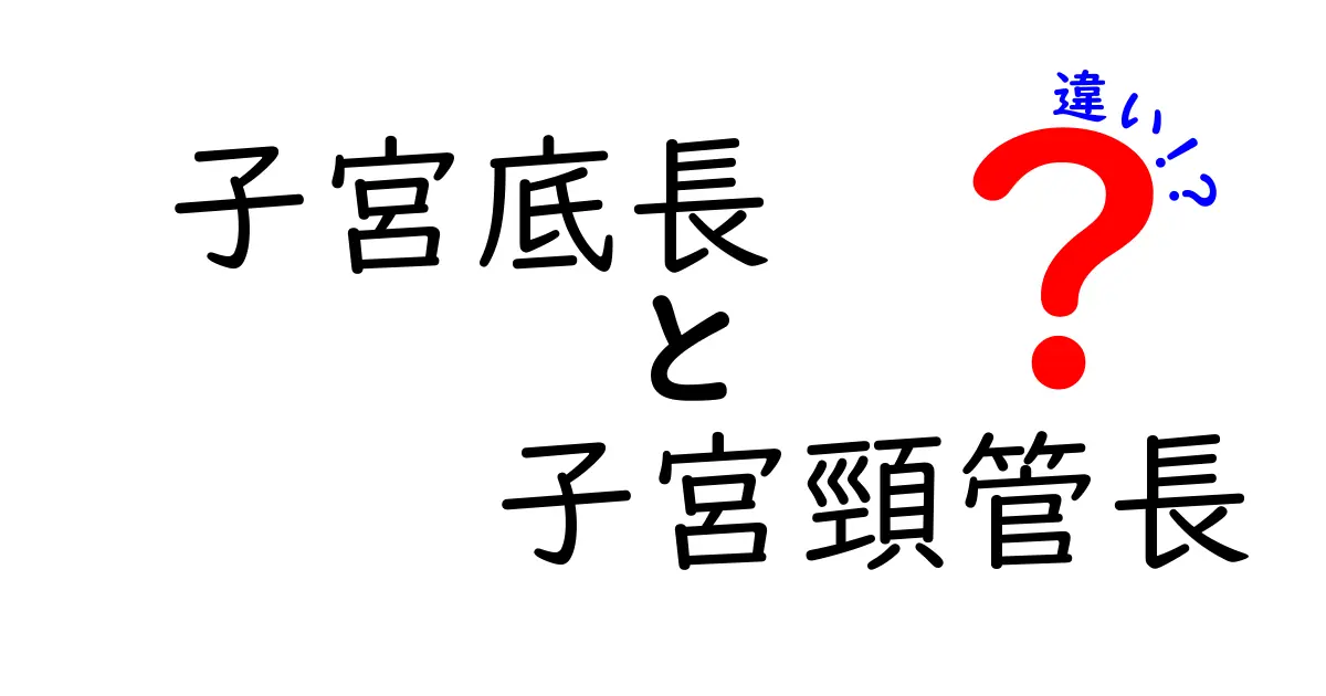 子宮底長と子宮頸管長の違いって何か理解したい人へ妊娠中に知っておくべき2つの指標をやさしく解説