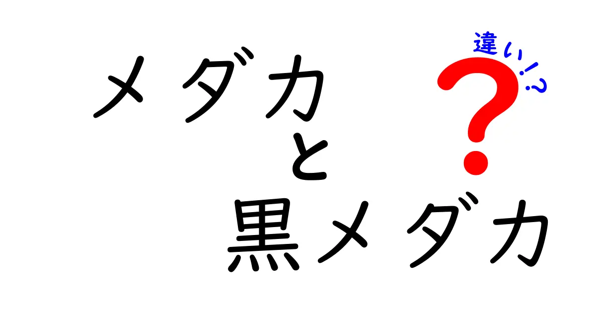 メダカと黒メダカの違いを完全解説!見分け方と飼育のコツ