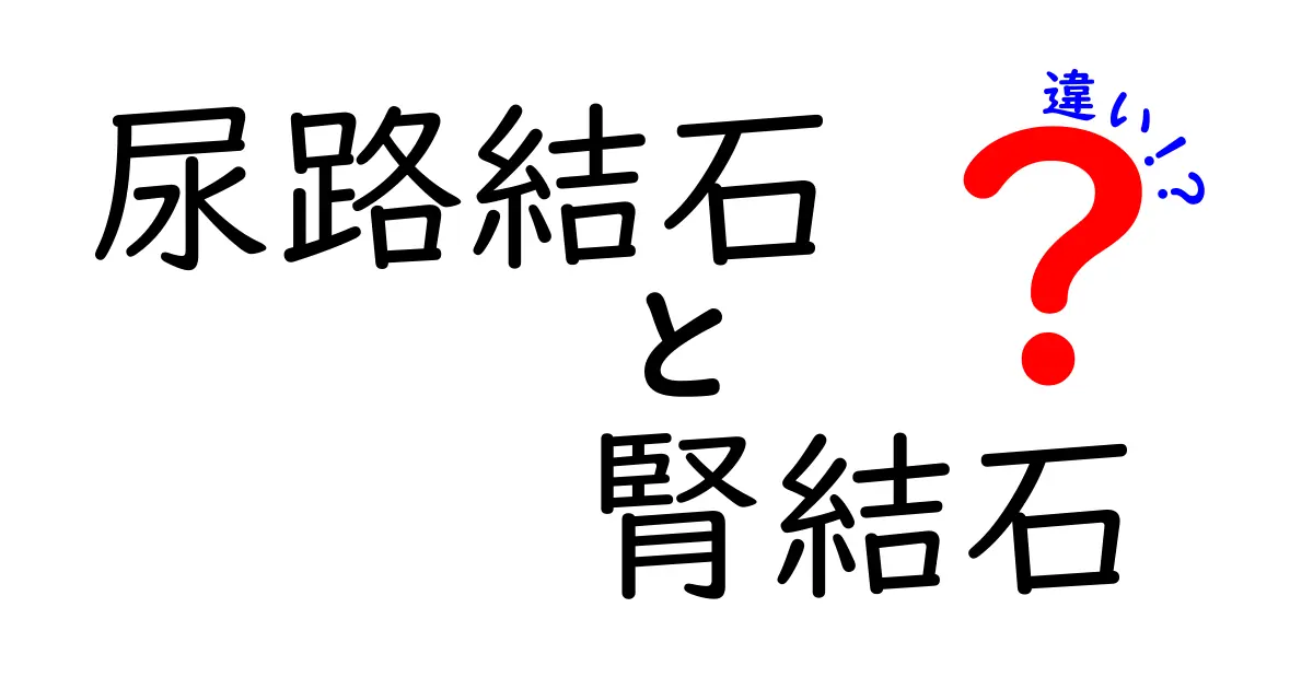 尿路結石と腎結石の違いを徹底解説！痛みの理由と治療のポイントを中学生にもわかる日本語で