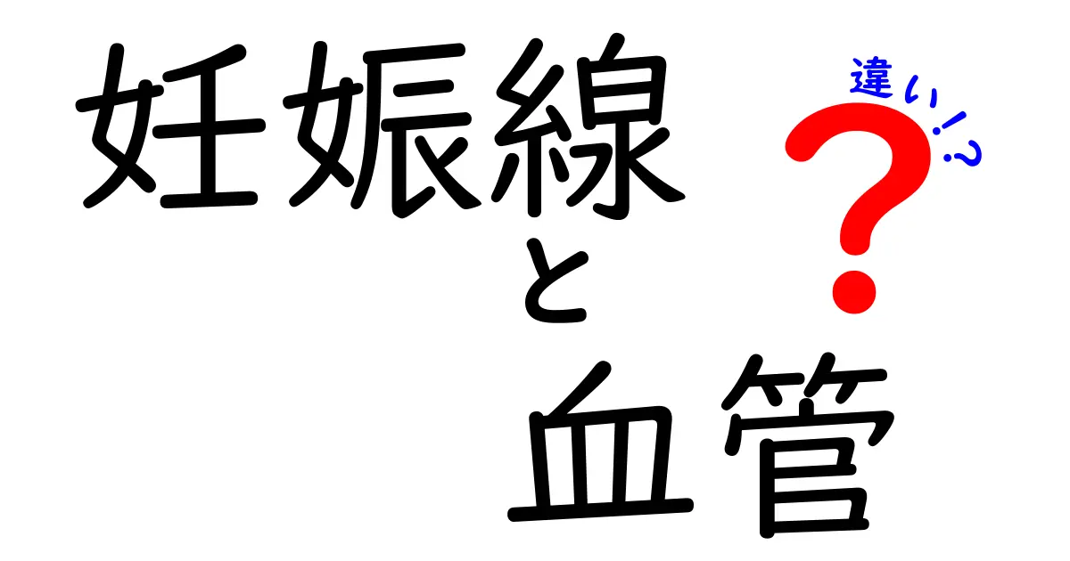 妊娠線と血管の違いを徹底解説!見分け方とケアのポイント