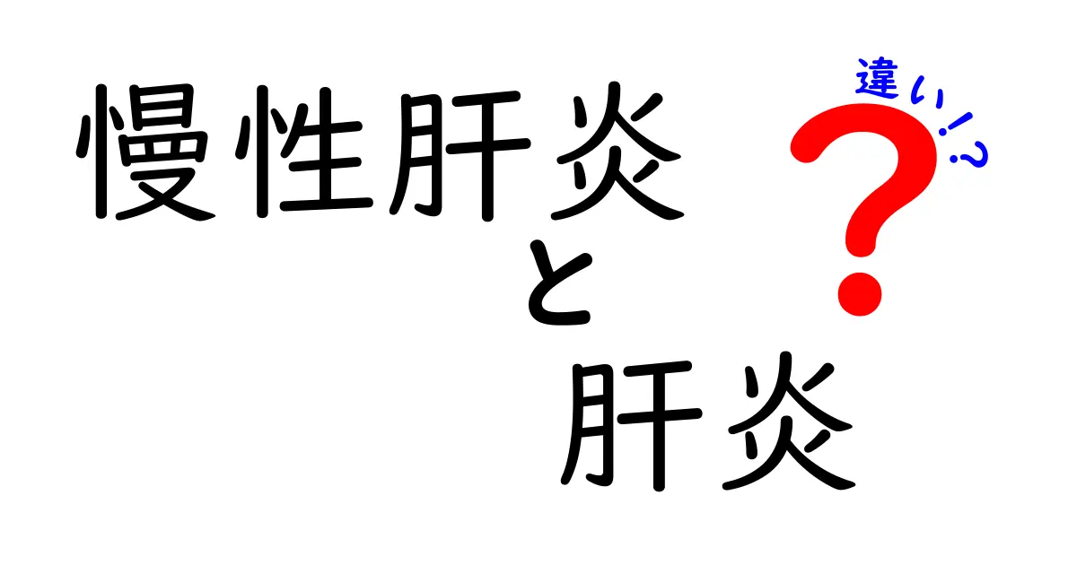 慢性肝炎と肝炎の違いを徹底解説|知っておきたいポイントと表で分かる比較