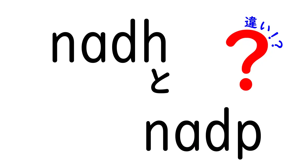 nadh nadp 違いを徹底解説!どちらがどんな役割を担うのか、中学生にも分かる比較ガイド