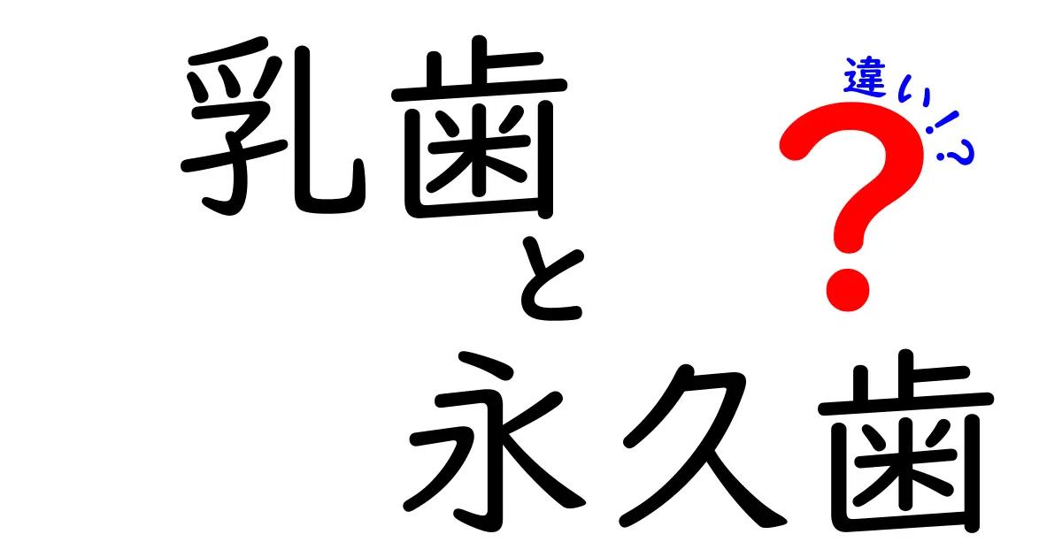乳歯 永久歯 違いを丸わかり!いつ生え変わるのかから虫歯リスクまで徹底解説