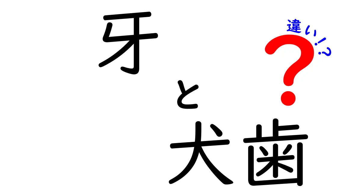 牙と犬歯の違いを徹底解説!見た目は似ても役割はこう違う