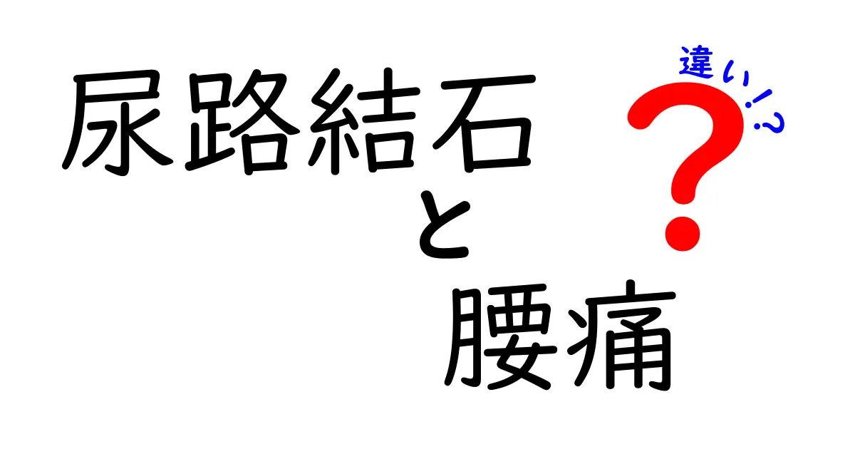 尿路結石と腰痛の違いが一目で分かる!見分け方と治療・予防をやさしく解説