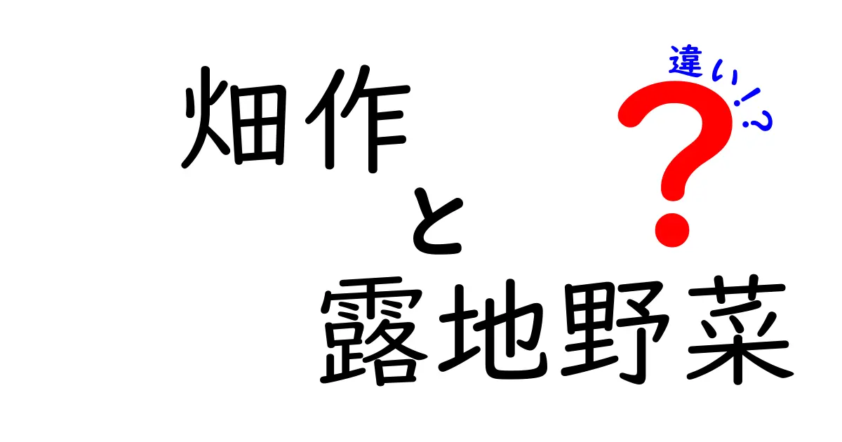 畑作と露地野菜の違いを徹底解説！初心者にもわかる基本と実践のポイント