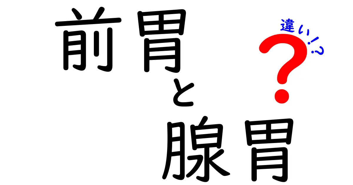 前胃と腺胃の違いを徹底解説|初心者でも分かる3つのポイントと図解