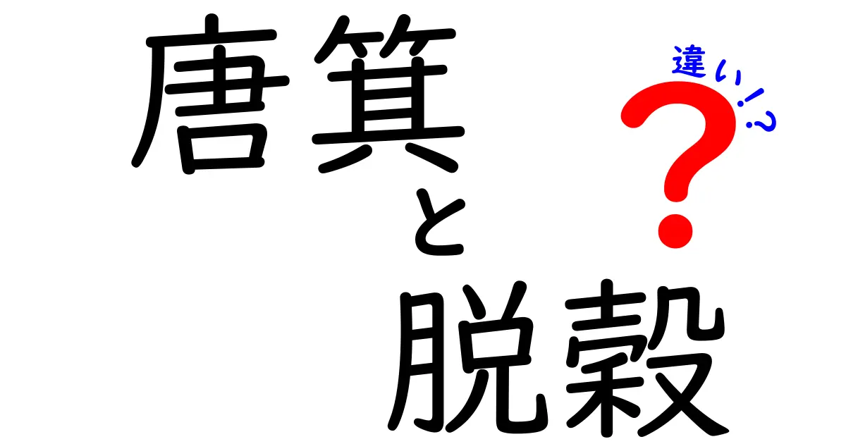 唐箕と脱穀の違いを解説！意味・用途・歴史をわかりやすく比較する初心者向けガイド