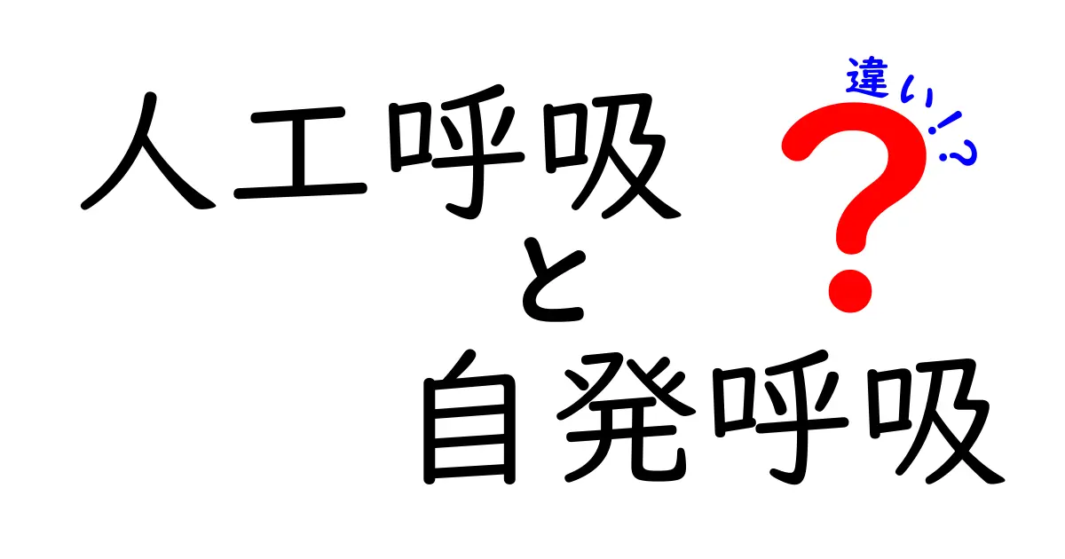 人工呼吸と自発呼吸の違いを徹底解説|救急時に役立つ基本の知識