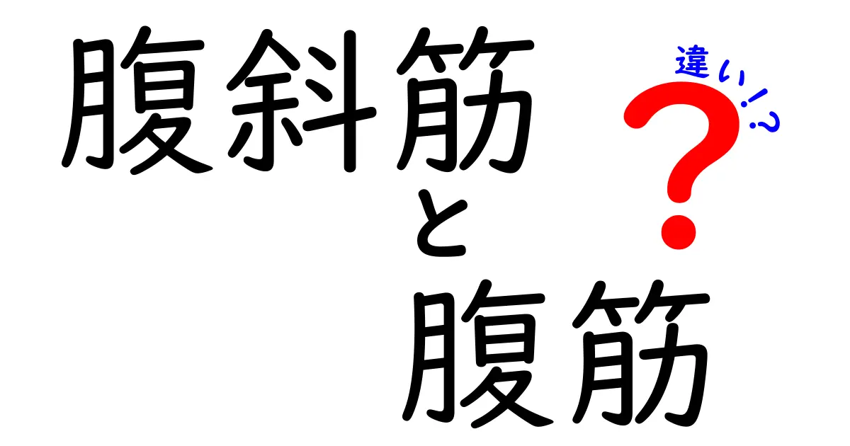 腹斜筋と腹筋の違いを徹底解説!体幹を強くする正しい筋トレのコツ