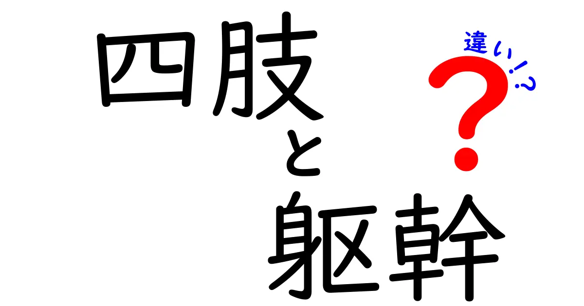 四肢と躯幹の違いをわかりやすく解説!中学生にも伝わる身体の基本