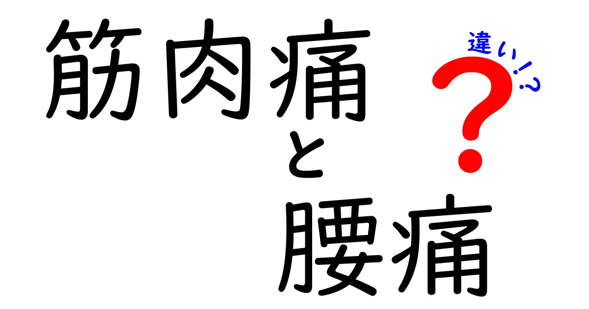 筋肉痛と腰痛の違いを徹底解説!痛む場所で原因と対処が変わる3つのポイント