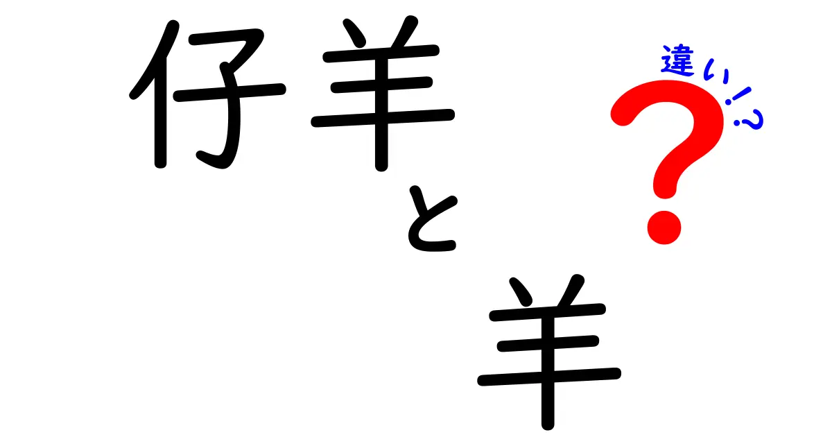 仔羊と羊の違いを徹底解説！知らなかった意外な差と使い分けのコツ