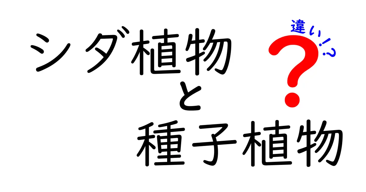 これでよくわかるシダ植物と種子植物の違いを中学生にもわかりやすく図解つきで解説