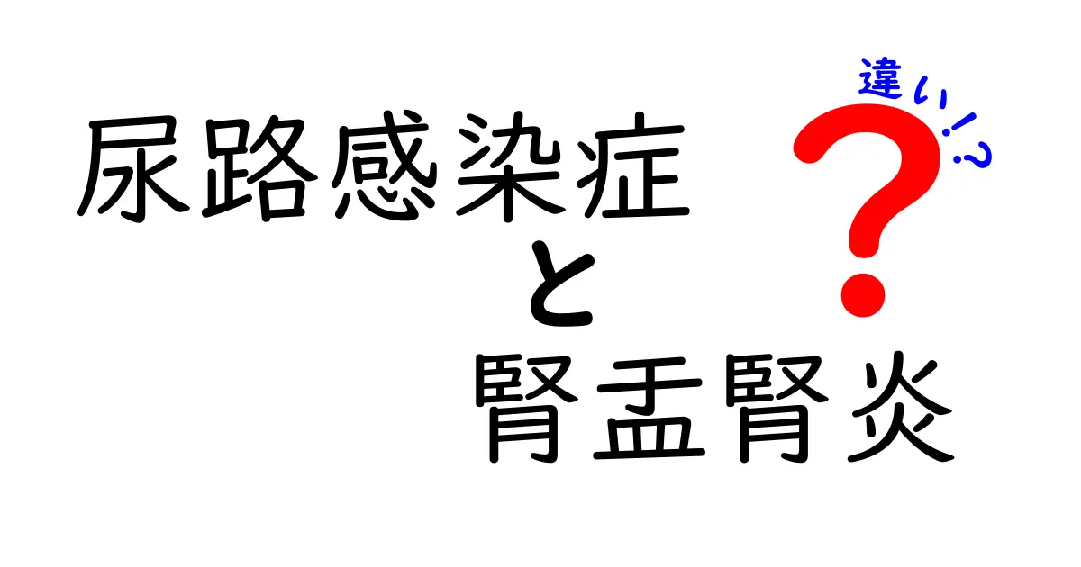 尿路感染症と腎盂腎炎の違いを徹底解説!症状・原因・治療・予防を中学生にもわかる言葉で