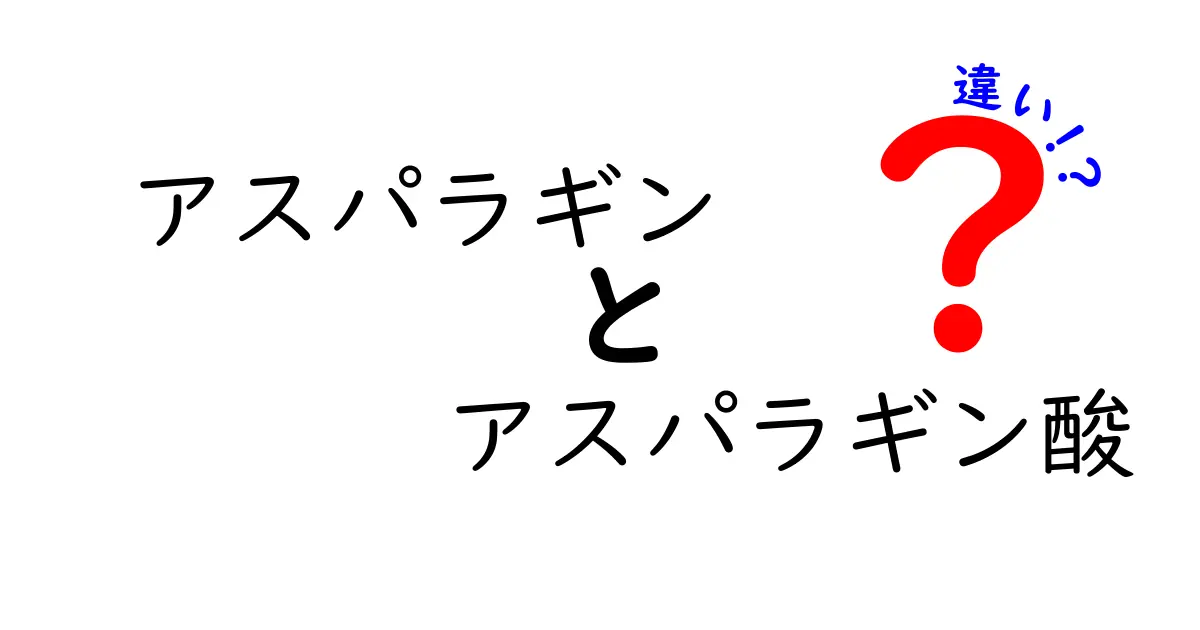アスパラギンとアスパラギン酸の違いを完全解説!中学生にもわかるやさしいガイド