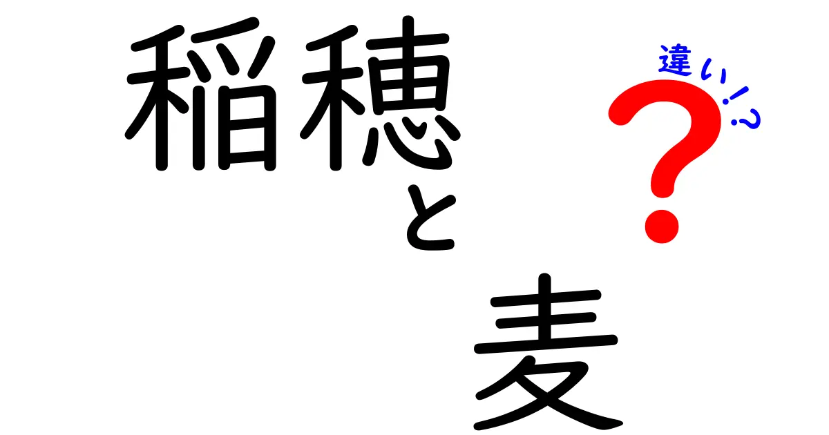 稲穂と麦の違いを徹底解説!見分け方と用途まで知っておきたいポイント