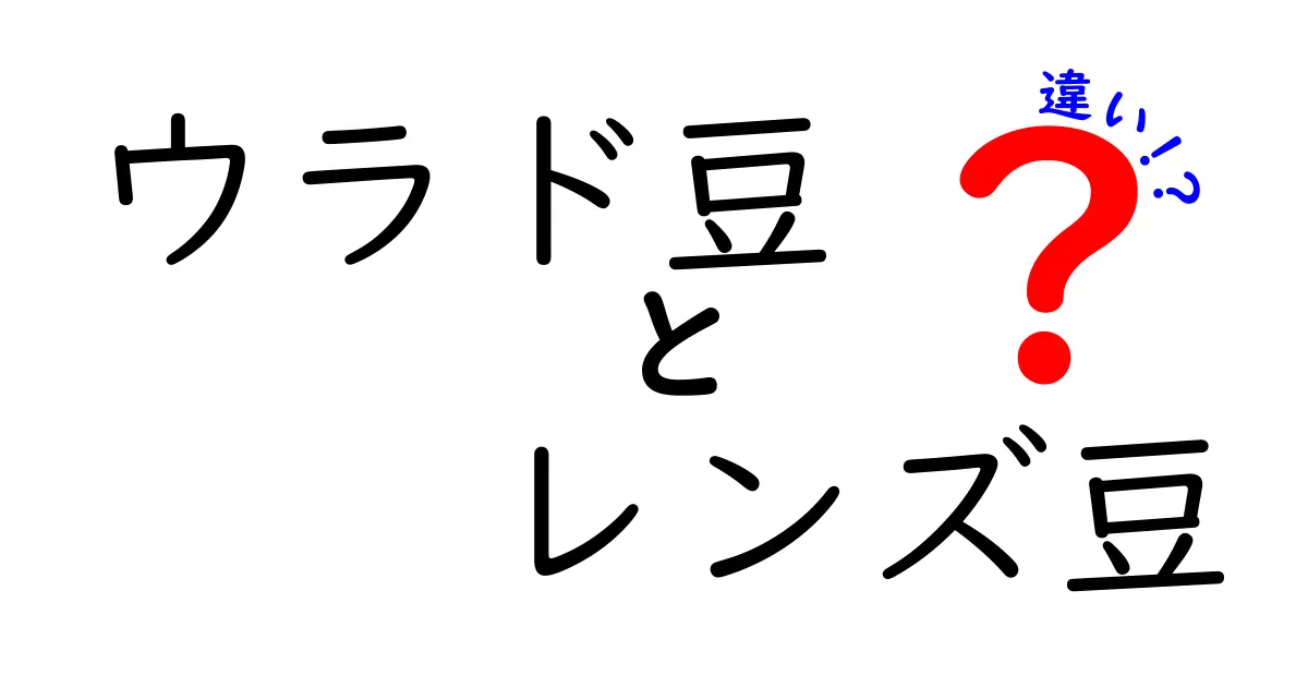 ウラド豆とレンズ豆の違いを完全解説!見た目・味・栄養・使い方をわかりやすく比較