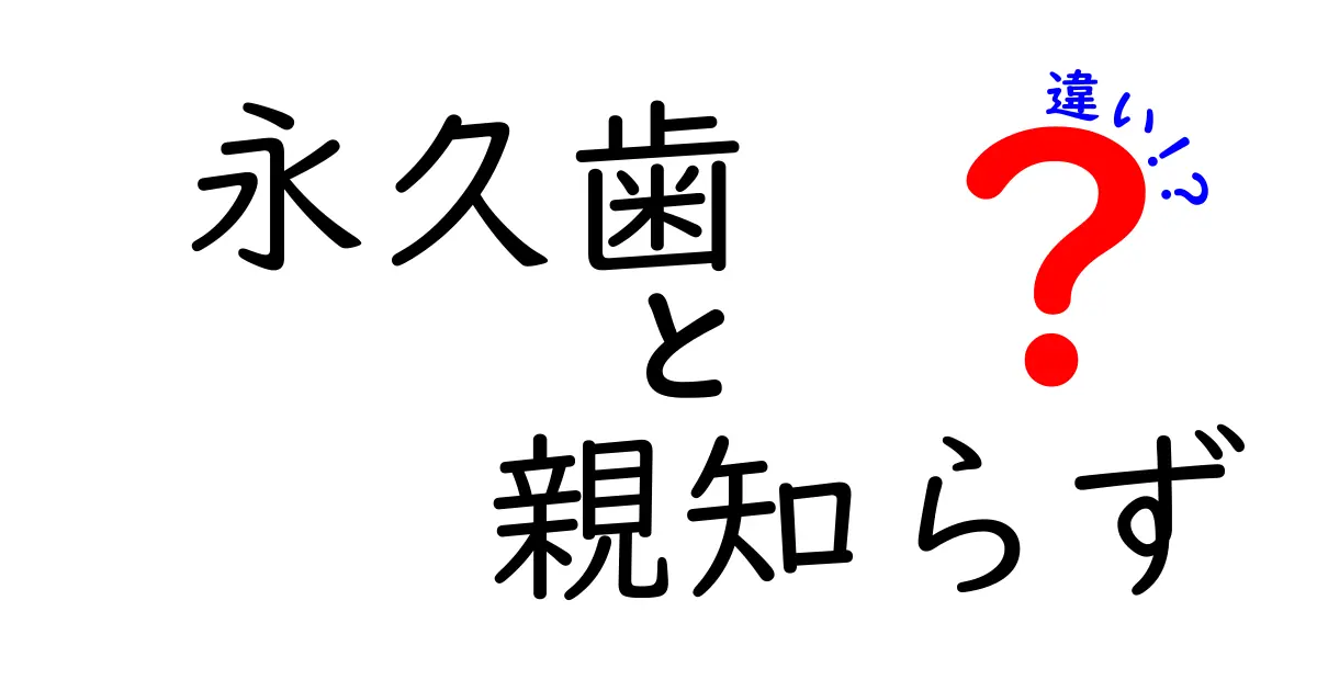 永久歯と親知らずの違いを徹底解説|中学生にも分かる3つのポイントと歯の成長の秘密