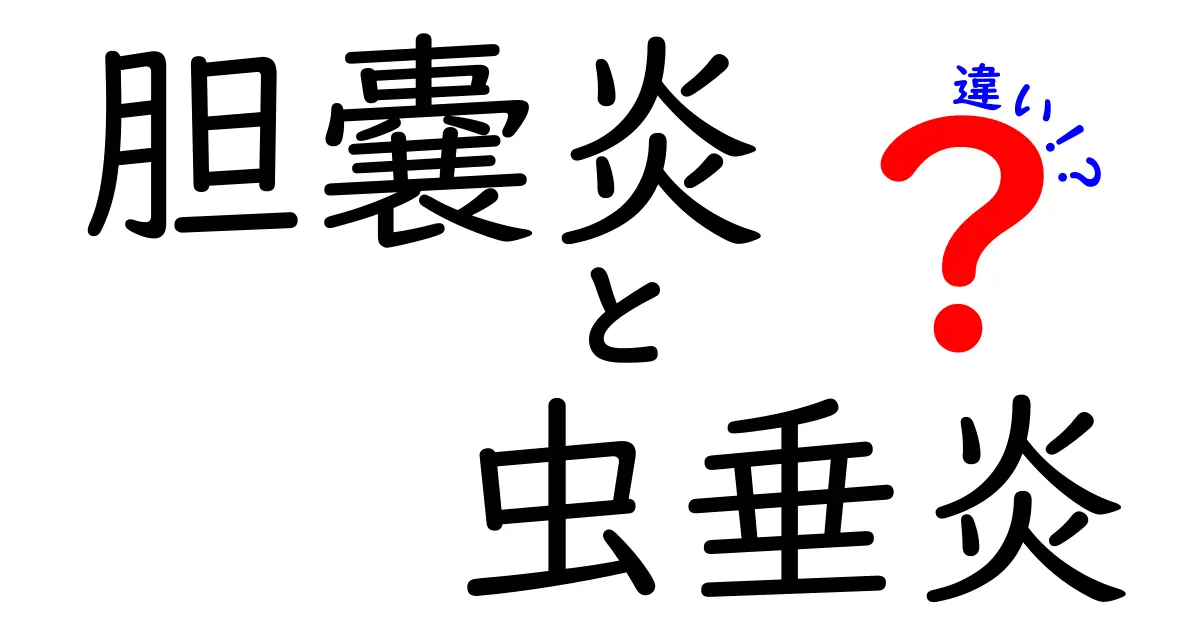 胆嚢炎と虫垂炎の違いを徹底解説!痛みの場所・原因・治療の違いを中学生にもわかる順序で