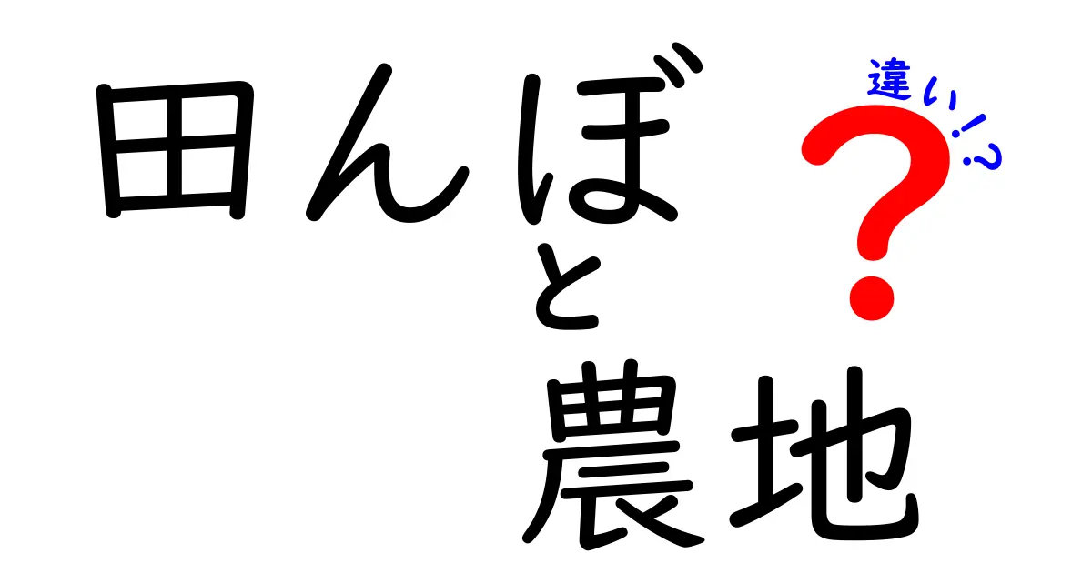 田んぼと農地の違いをわかりやすく徹底解説|米づくりと作物栽培の境界を見極める