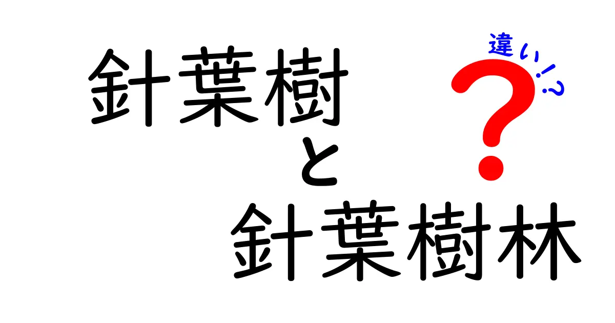 針葉樹と針葉樹林の違いを完全解説|見分け方と特徴をわかりやすく