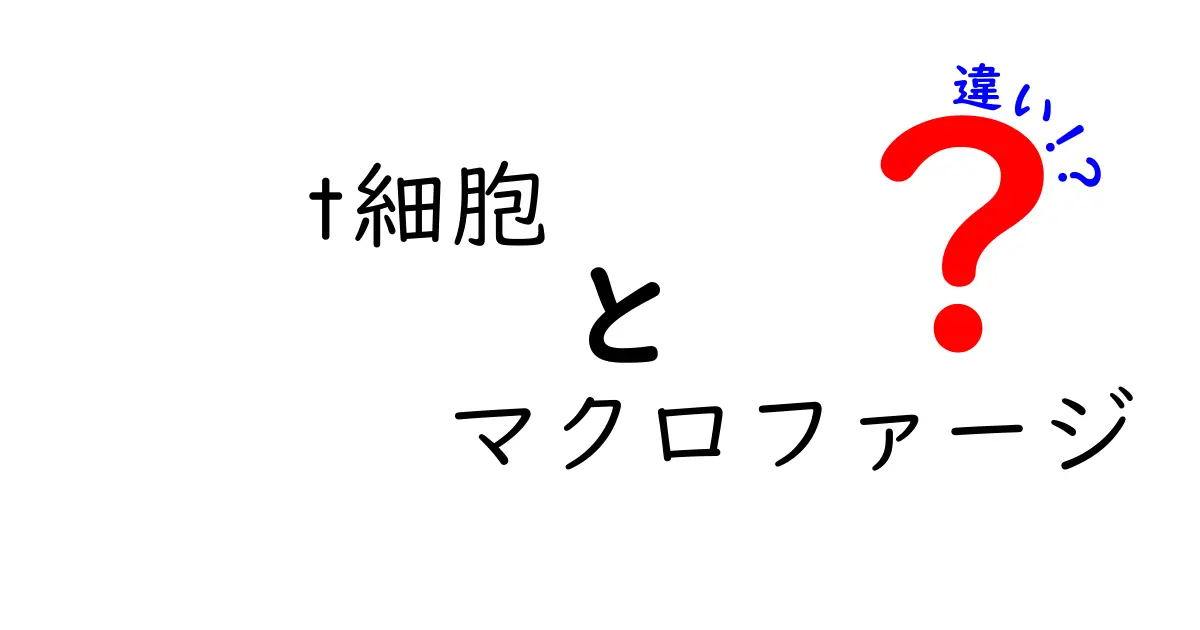 T細胞とマクロファージの違いを徹底解説:免疫の仕組みを中学生にもわかる図解付き