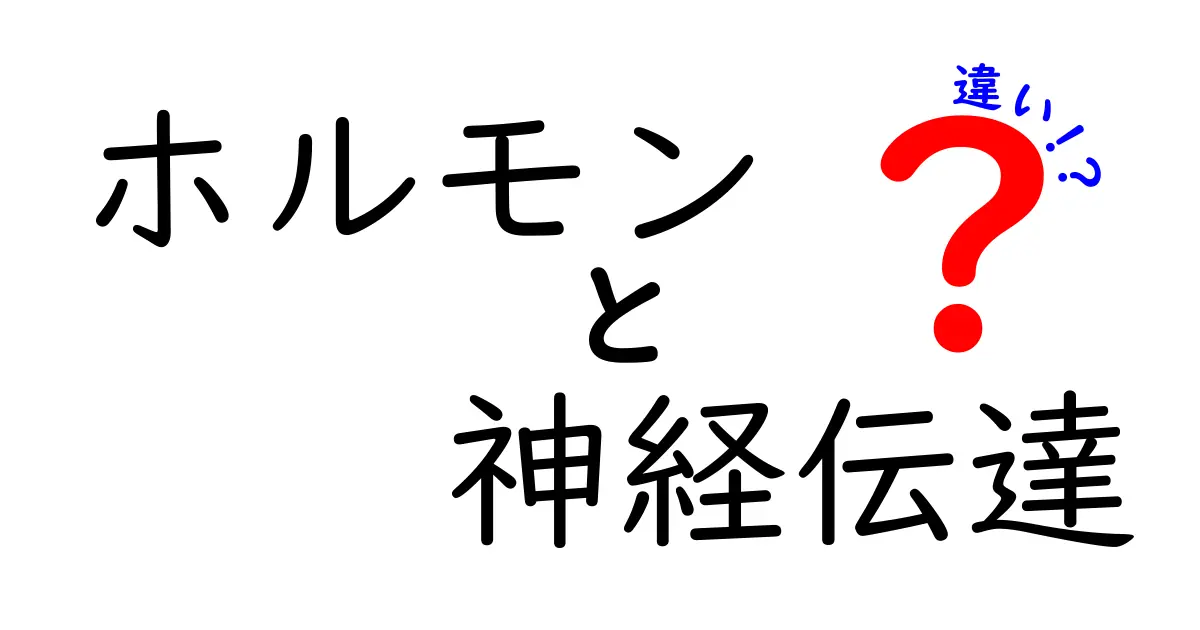 ホルモンと神経伝達の違いを詳しく解説!中学生にもわかる図解つきガイド