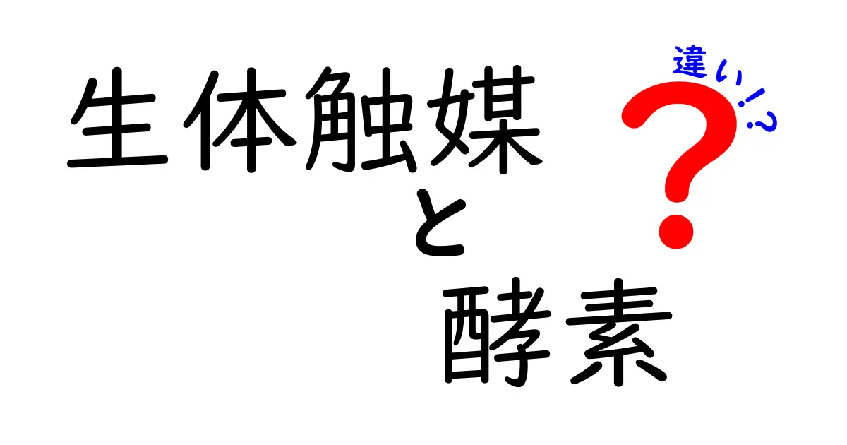 生体触媒と酵素の違いを徹底解説|身近な例で学ぶ生物の仕組み