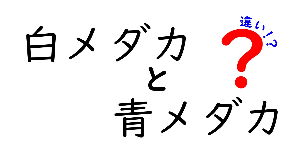 白メダカと青メダカの違いを徹底解説!色で分かる見分け方と飼育のコツ