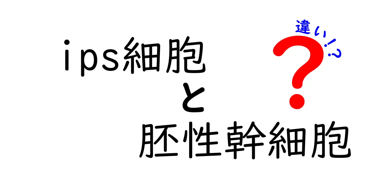 IPS細胞と胚性幹細胞の違いを徹底解説!中学生にも分かるポイントまとめ