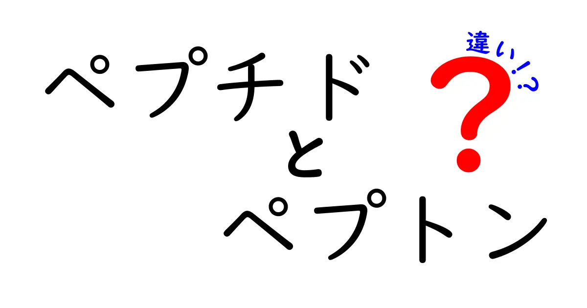 ペプチドとペプトンの違いを徹底解説!中学生にもわかるポイント整理