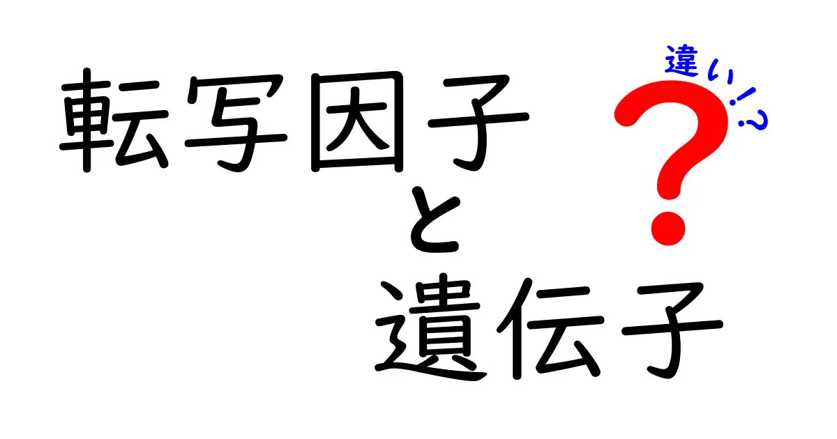 転写因子と遺伝子の違いをわかりやすく解説｜中学生にも伝わる基礎ガイド