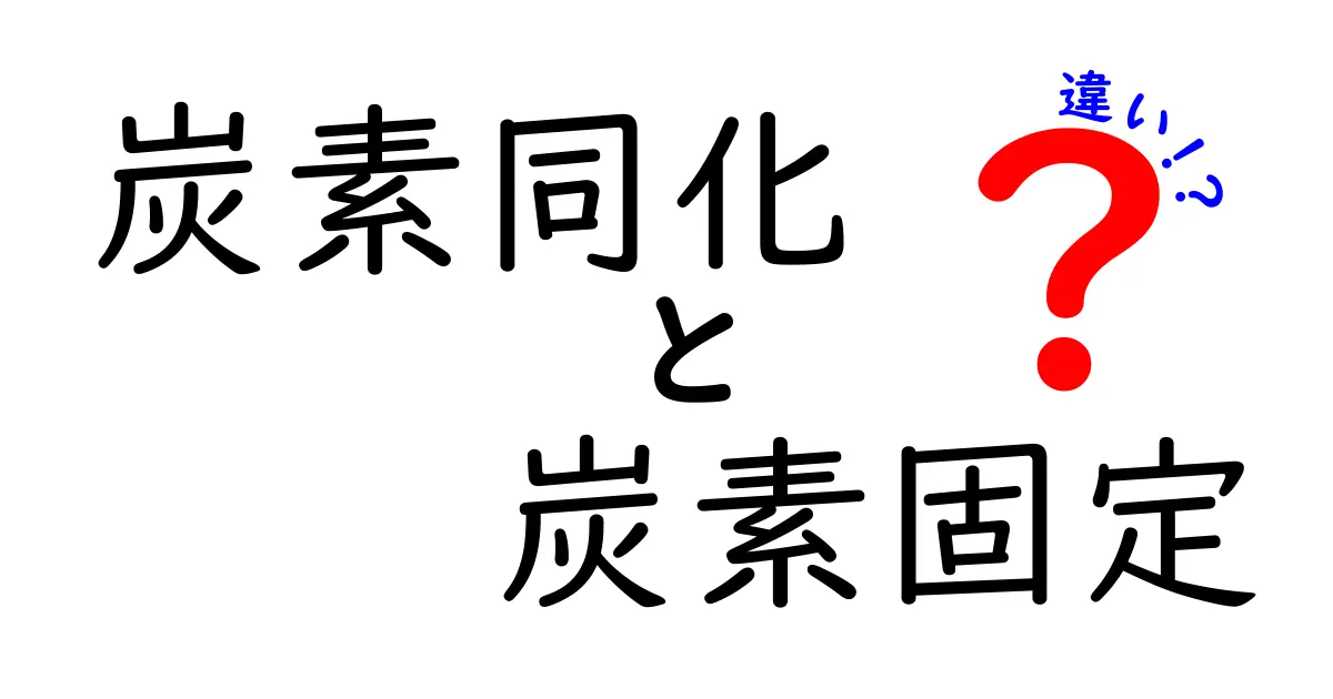 炭素同化と炭素固定の違いを徹底解説|中学生にも分かるポイントと日常のヒント