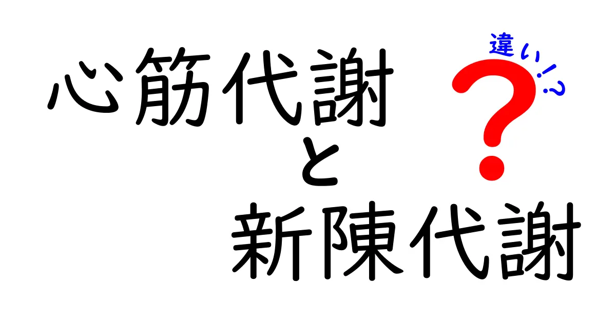 心筋代謝と新陳代謝の違いを徹底解説|中学生にもわかる体の仕組み