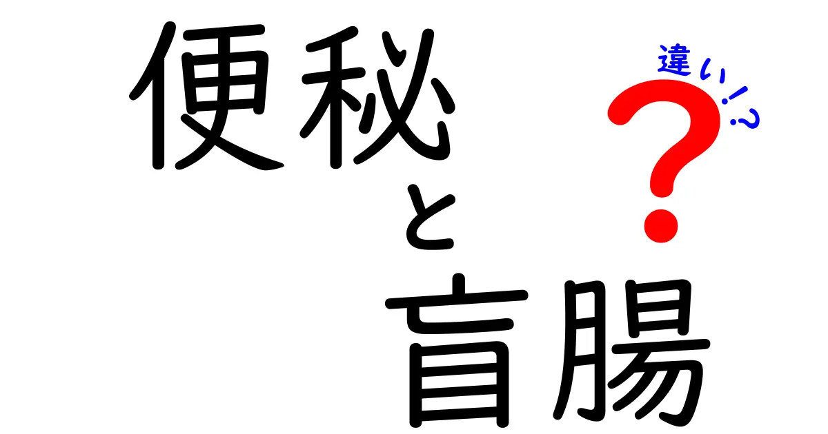 便秘と盲腸の違いをわかりやすく解説|症状の見分け方と日常ケアのコツ