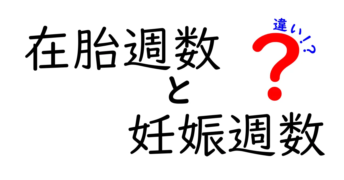在胎週数と妊娠週数の違いをすぐ理解!医療現場での使い分けをわかりやすく解説