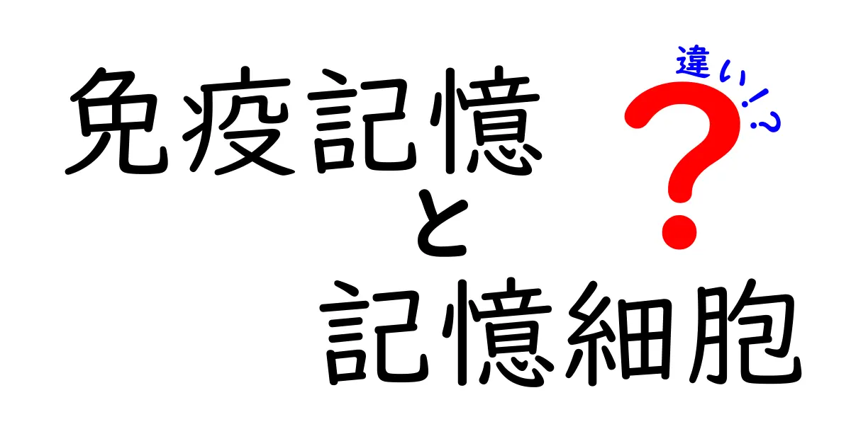 免疫記憶と記憶細胞の違いを徹底解説!中学生にもわかるしくみと見分け方