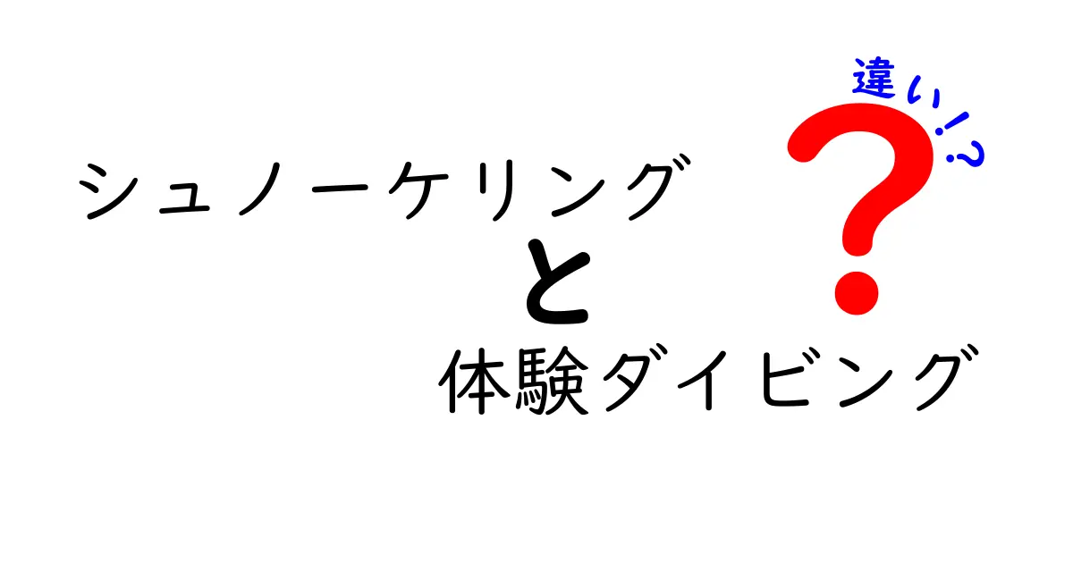 シュノーケリングと体験ダイビングの違いを徹底解説!初心者が賢く選ぶためのポイント
