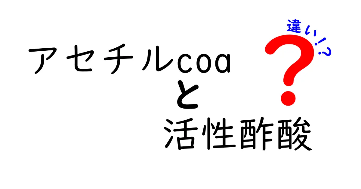 アセチルCoAと活性酢酸の違いを徹底解説!中学生にもわかる基礎と実例